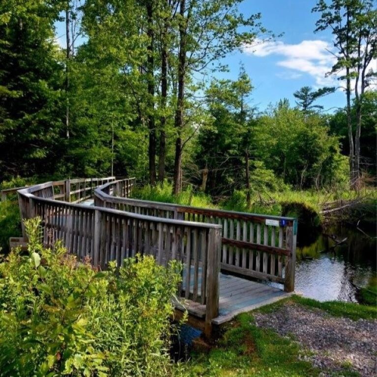 Gunstock Wetlands Walk Boardwalk entrance