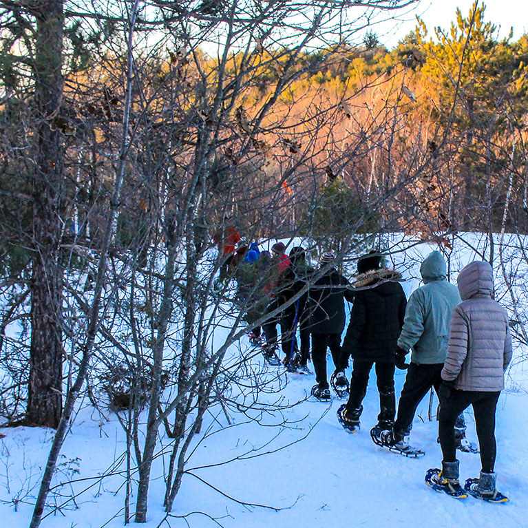 Snowshoe group in the woods