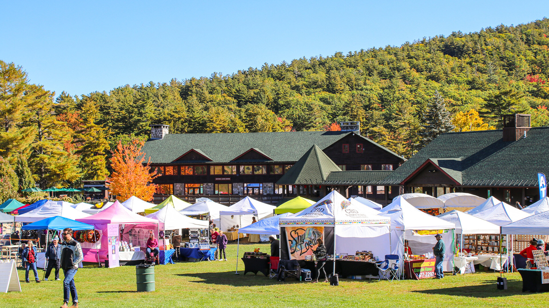 Food Truck Festival