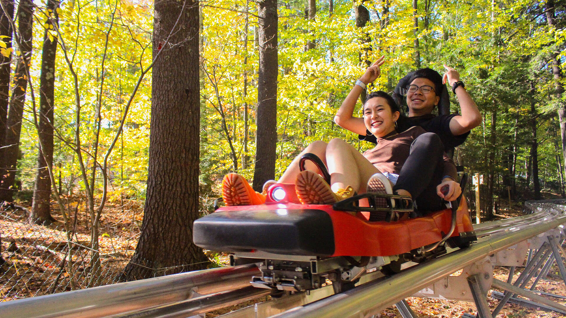 Mountain Coaster