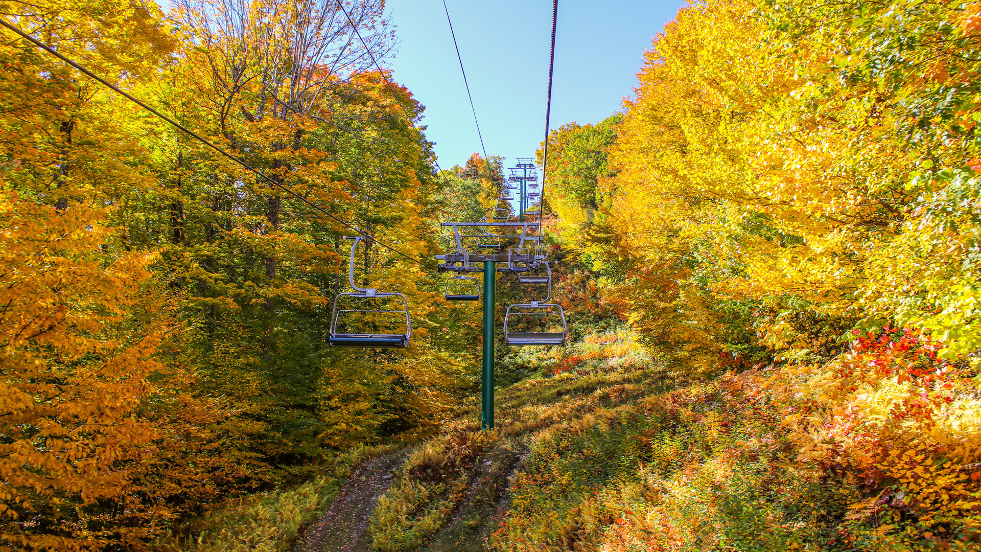 Adventure Park Open Weekends Starting May 25